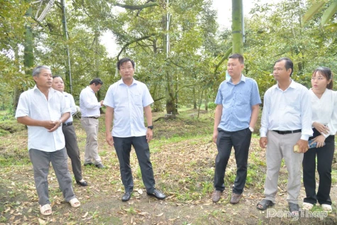 Đồng chí Nguyễn Phước Thiện khảo sát mô hình Sầu riêng khắc phục Cadimi và các dự án
