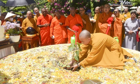 Cung nghinh cây Bồ đề từ Sri Lanka về trồng tại Công viên Chùa Vĩnh Tràng