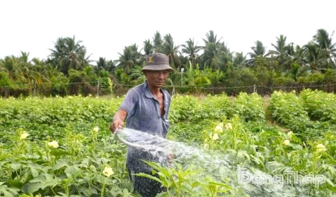 Phường Mỹ Phong: Quyết tâm thực hiện mục tiêu giảm nghèo bền vững