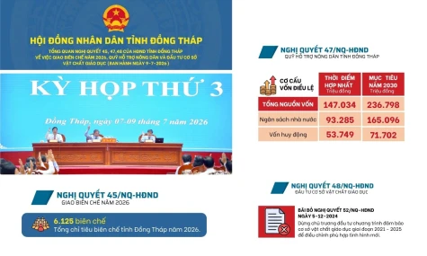 [Infographic] Nghị quyết 45, 47, 48 ngày 9-7-2026 của HĐND tỉnh Đồng Tháp