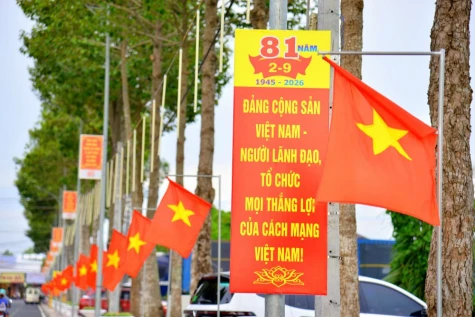 Đồng Tháp rực rỡ cờ hoa chào mừng Quốc khánh 2-9