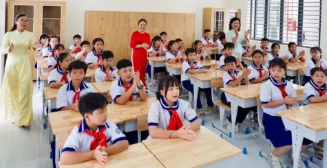 Năm của hành động và kiểm chứng
