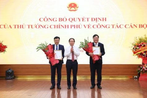 Phó Thủ tướng Lê Tiến Châu trao Quyết định bổ nhiệm 2 Phó Tổng Thanh tra Chính phủ