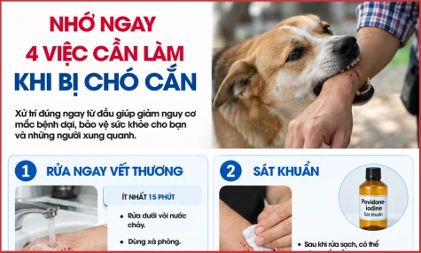 [Infographic] Nhớ ngay 4 việc cần làm khi bị chó cắn