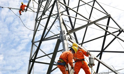 Đồng Tháp: Đầu tư hơn 1.000 tỷ đồng phát triển lưới điện