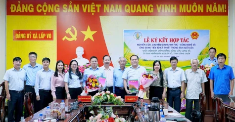 Xã Lấp Vò: Ký kết hợp tác nghiên cứu, chuyển giao khoa học - công nghệ trong sản xuất lúa