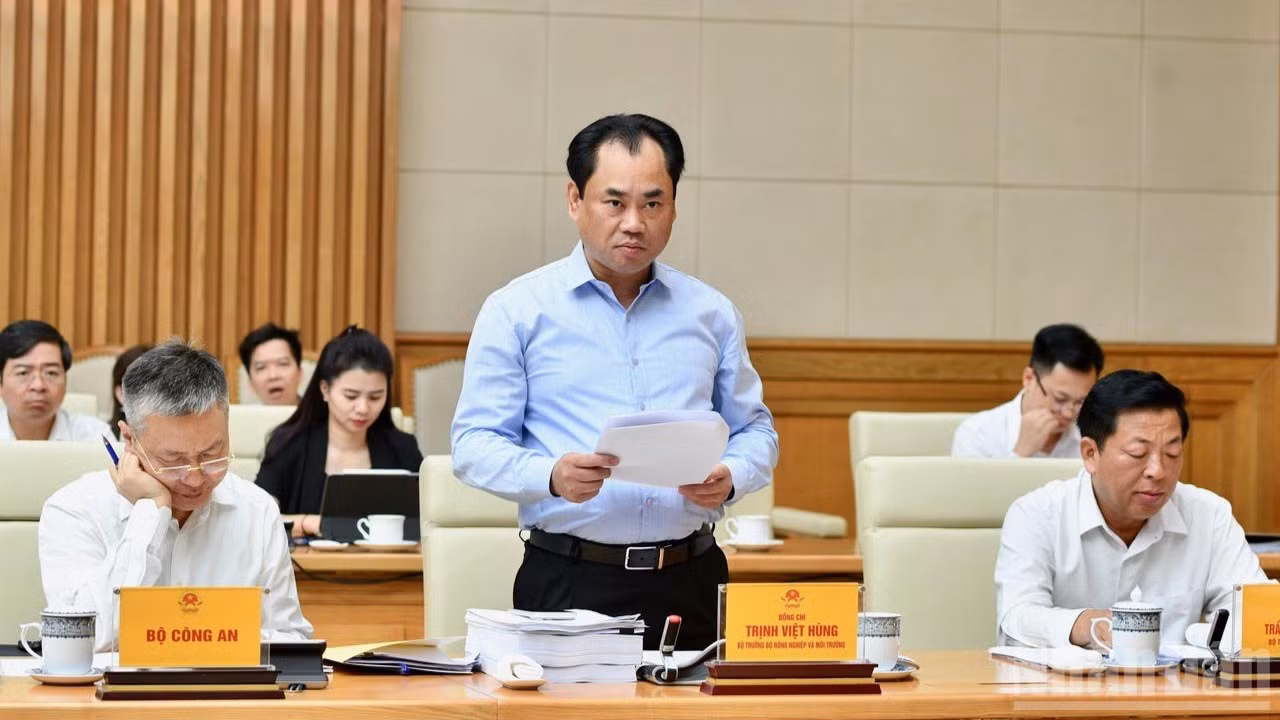 Báo Đồng Tháp