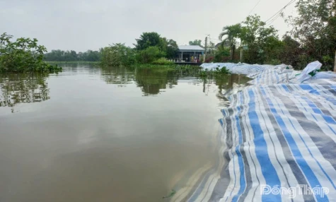 Đồng Tháp: Triều cường lên nhanh, chủ động phòng, chống ngập lụt