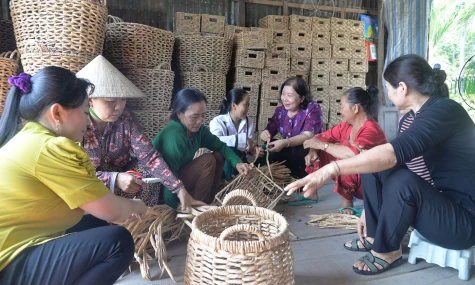 Hỗ trợ hợp tác xã do phụ nữ tham gia quản lý, tạo việc làm cho lao động nữ