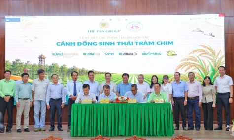 Vùng lúa sinh thái, sự bền vững từ đồng ruộng và môi trường sống