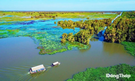Khi mùa nước nổi về lại Ramsar Tràm Chim