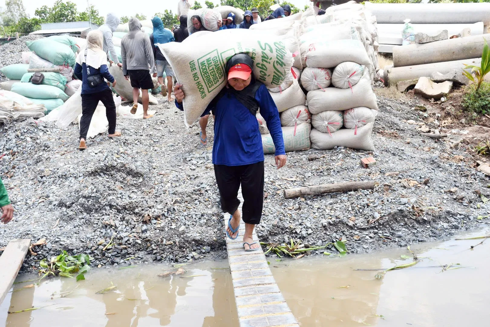 Báo Đồng Tháp