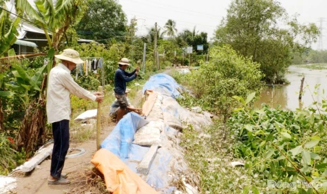 Đồng Tháp: Từ nay đến cuối năm còn 7 đợt triều cường