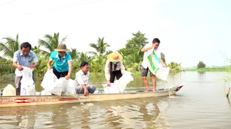 Xã Tân Thạnh: Thả hơn 28.000 con cá giống phát triển sinh kế, tái tạo nguồn lợi thủy sản