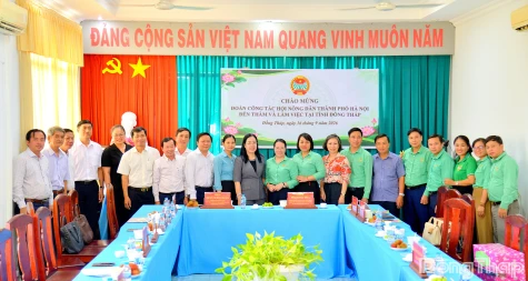 Tăng cường kết nối tiêu thụ nông sản Đồng Tháp - Hà Nội