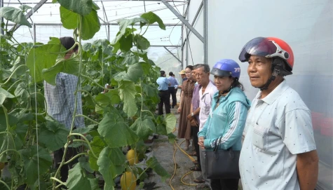 Phổ biến kiến thức ứng dụng công nghệ cao trong nông nghiệp