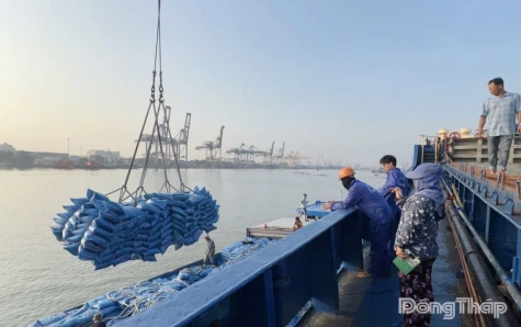 Xuất khẩu gạo giảm, doanh nghiệp tìm hướng đa dạng hóa thị trường