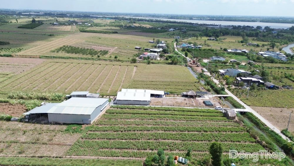 Đồng Tháp: Chấp thuận chủ trương đầu tư 2 dự án điện mặt trời với tổng vốn đầu tư 930 tỷ đồng
