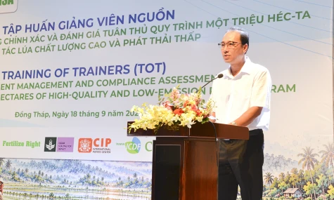 Nâng cao quản lý dinh dưỡng chính xác trong Đề án 1 triệu héc-ta canh tác lúa chất lượng cao
