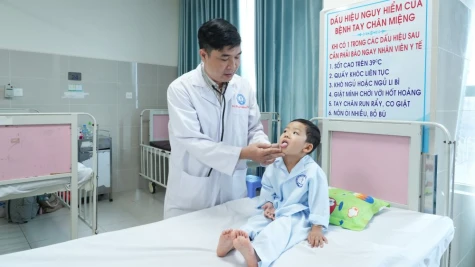 Đồng Tháp: Bệnh sốt xuất huyết và tay chân miệng tăng