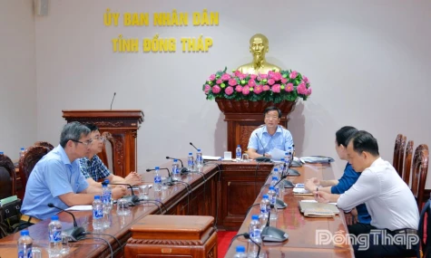 Đồng Tháp chuẩn bị tiếp nhận 12 cá thể sếu đầu đỏ