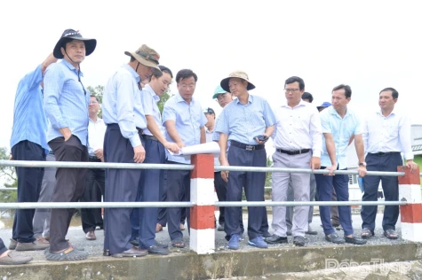 Dong Thap Vice Chairman Nguyen Phuoc Thien Surveys Go Cong Freshwater Transfer Project