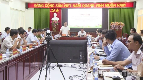 Đồng Tháp: Nông nghiệp duy trì tăng trưởng trong 9 tháng năm 2026