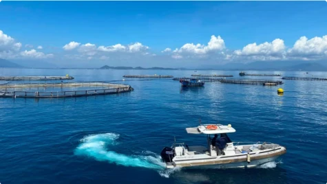 Khai mở không gian phát triển mới