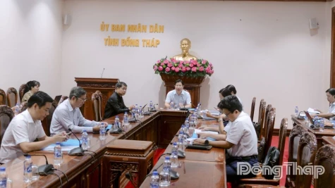 Over 15,500 Register for the 2026 Dat Sen Hong Marathon in Dong Thap