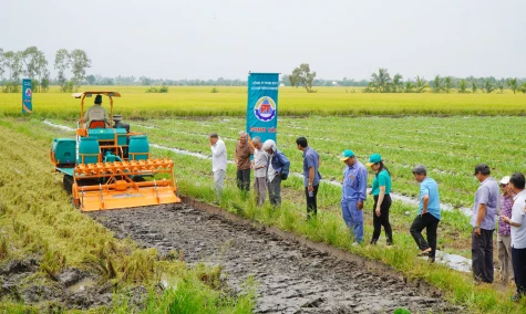 Mỹ Quí: Triển vọng từ mô hình xới vùi rơm rạ kết hợp sử dụng chế phẩm vi sinh