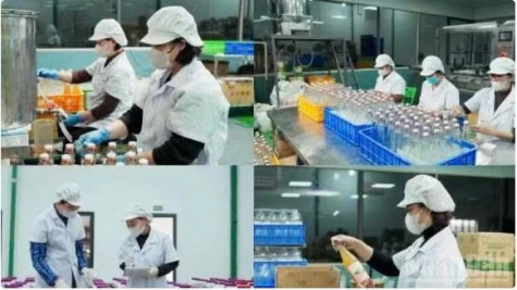 Hơn 223,9 nghìn doanh nghiệp thành lập mới và quay trở lại hoạt động 9 tháng năm 2026