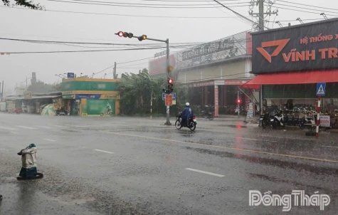 Đồng Tháp: Dự báo tiếp tục có mưa lớn trên diện rộng trong 24 - 48 giờ tới