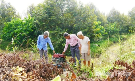 Xã Phong Hòa: Chủ động ứng phó mưa bão, triều cường bảo vệ sản xuất nông nghiệp