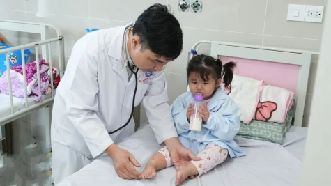Đồng Tháp: Bệnh sốt xuất huyết Dengue và tay chân miệng đang trong tầm kiểm soát
