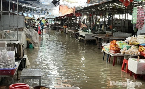 Đồng Tháp: Triều cường vượt mức báo động 3, gây ngập nhiều khu vực