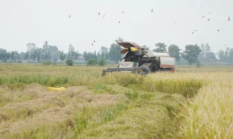 Xã Tân Hồng: Nhiều điểm sáng trong phát triển kinh tế - xã hội năm 2026