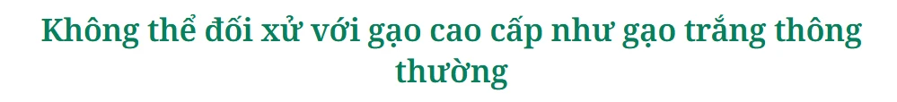 Báo Đồng Tháp
