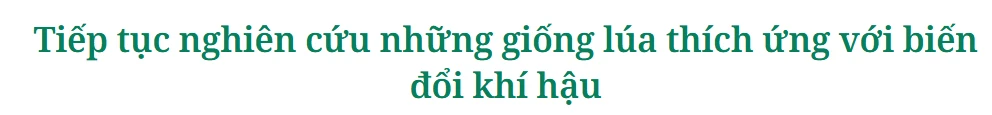Báo Đồng Tháp
