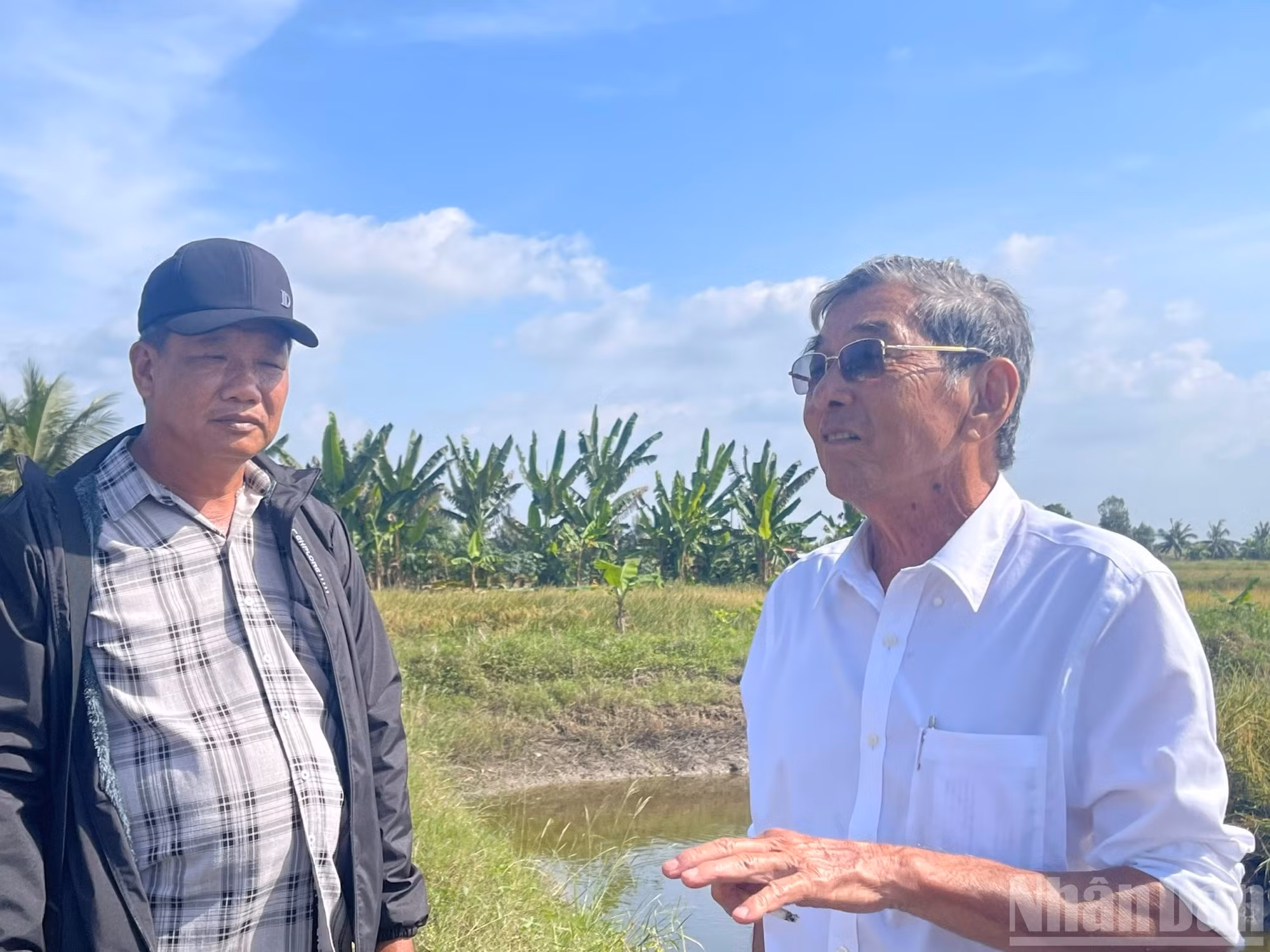 Báo Đồng Tháp