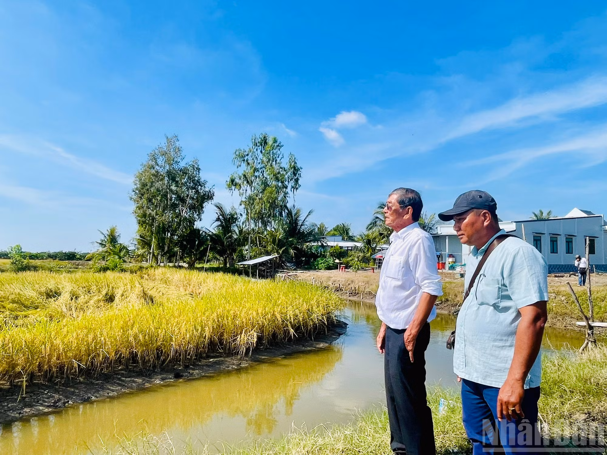 Báo Đồng Tháp