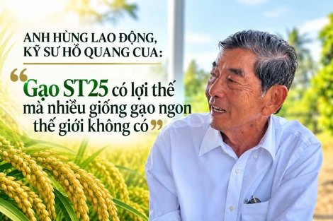 ANH HÙNG LAO ĐỘNG, KỸ SƯ HỒ QUANG CUA: "Gạo ST25 có lợi thế mà nhiều giống gạo ngon thế giới không có"