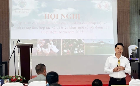 Trang bị những quy định mới cho đội ngũ quản lý, thành viên hợp tác xã