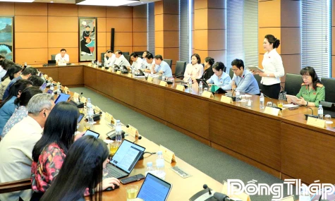 Đại biểu Quốc hội tỉnh Đồng Tháp đóng góp nhiều ý kiến thiết thực về phát triển kinh tế - xã hội và ngân sách