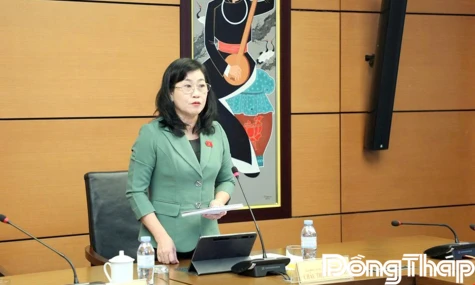 Đại biểu Quốc hội tỉnh Đồng Tháp đề xuất nhiều giải pháp hoàn thiện các dự án luật