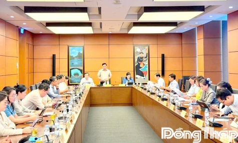 Đại biểu Quốc hội tỉnh Đồng Tháp thảo luận nhiều nội dung về lao động và an sinh xã hội