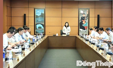 Đại biểu Quốc hội tỉnh Đồng Tháp thảo luận góp ý Luật Đất đai và Luật Nhà ở (sửa đổi)
