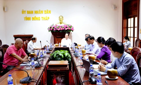 Đồng Tháp: Rà soát đề xuất đầu tư các dự án kinh tế biển