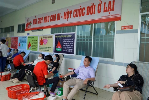 Lấp Vò, Mỹ An Hưng và Tân Khánh Trung hiến 193 đơn vị máu