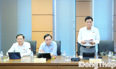 Đại biểu Quốc hội tỉnh Đồng Tháp thảo luận nhiều nội dung về xây dựng luật pháp