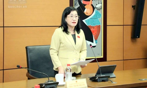 Đoàn Đại biểu Quốc hội tỉnh Đồng Tháp: Nêu cao tinh thần trách nhiệm, đóng góp hoàn thiện hệ sinh thái pháp lý số